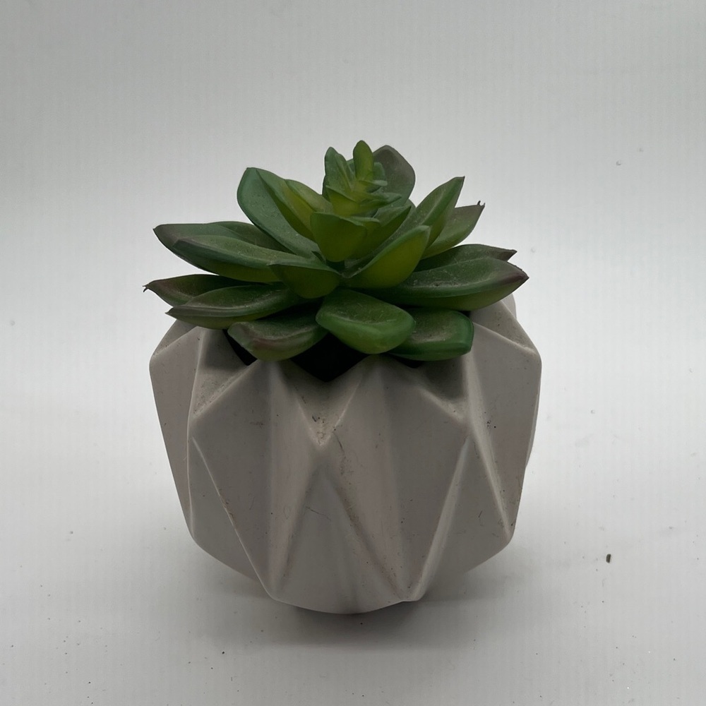 Geometric White Planter with Green Succulent